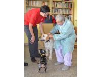 udržení schopností